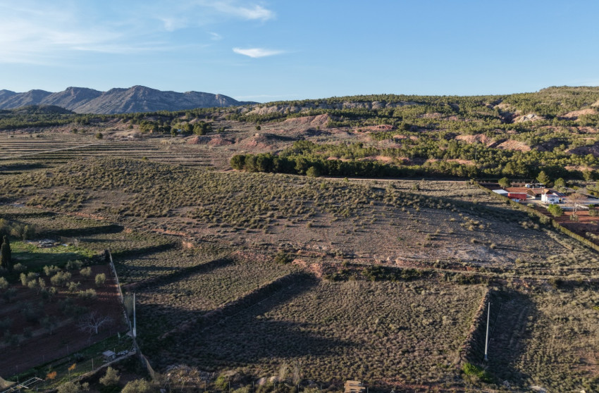 Revente - Terrain -
Yecla