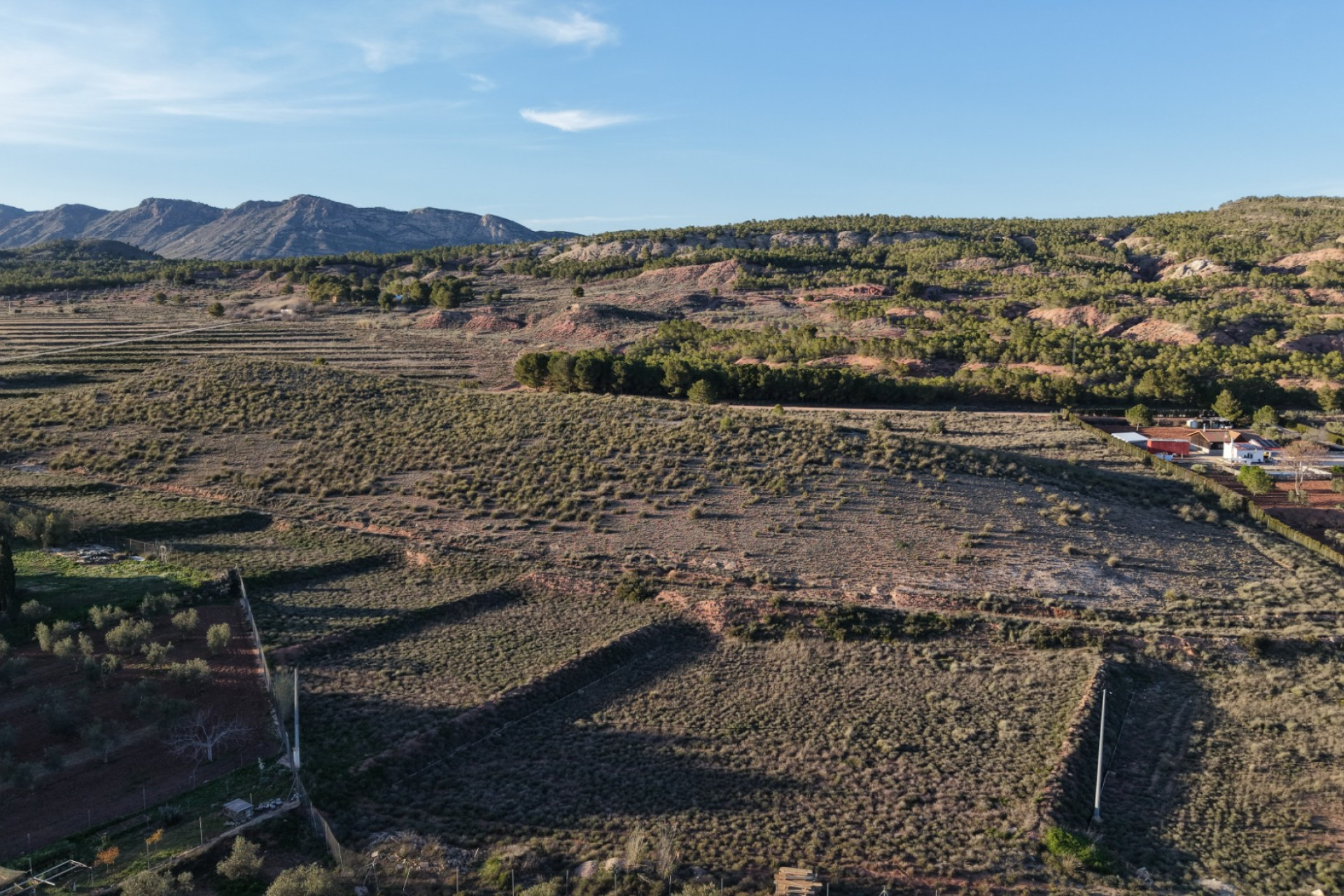 Revente - Terrain -
Yecla