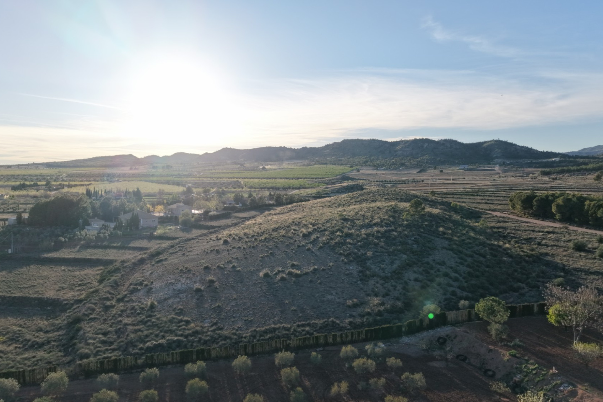 Revente - Terrain -
Yecla