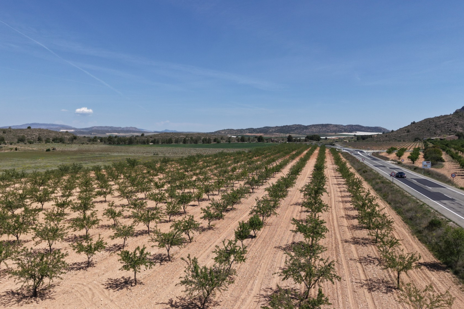 Revente - Terrain -
Yecla