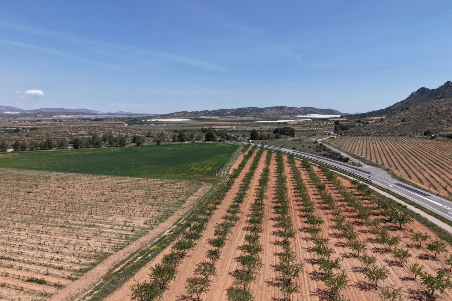 Revente - Terrain -
Yecla