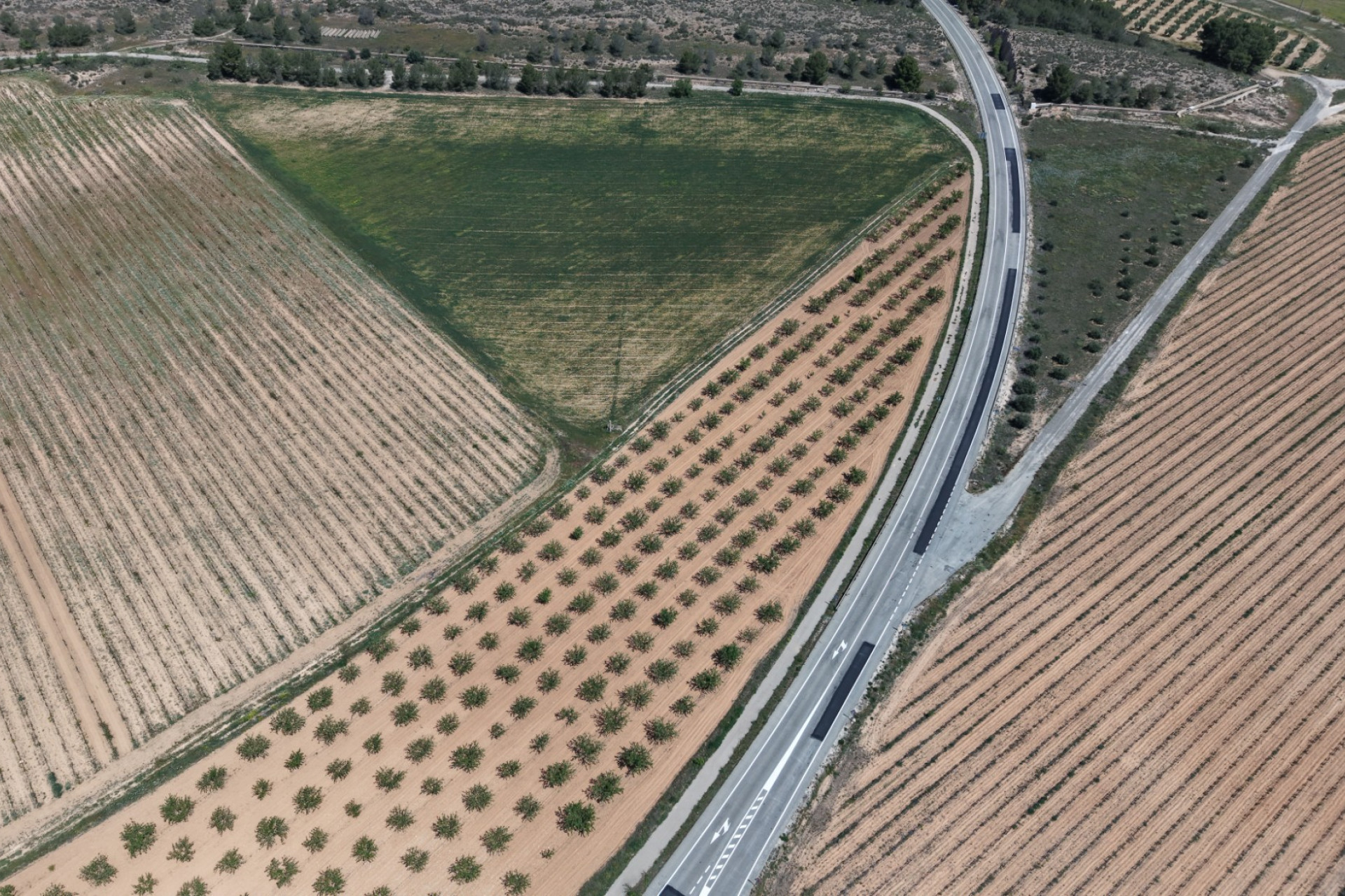 Revente - Terrain -
Yecla