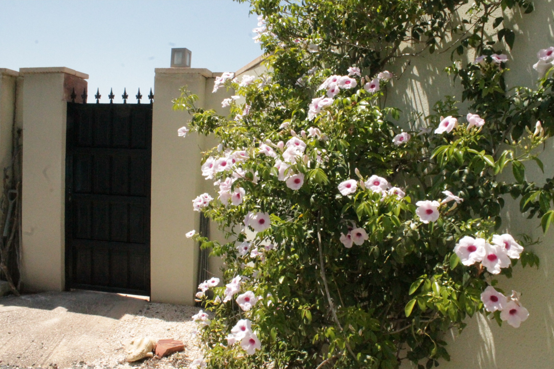 Revente - Villa -
Abanilla - Abanilla Murcia