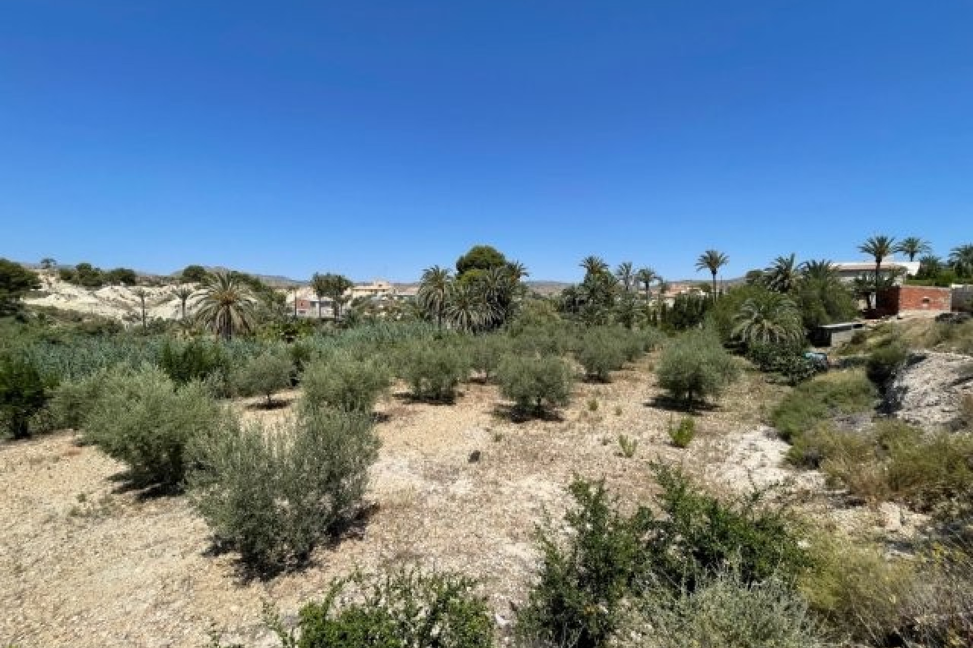 Revente - Villa -
Abanilla