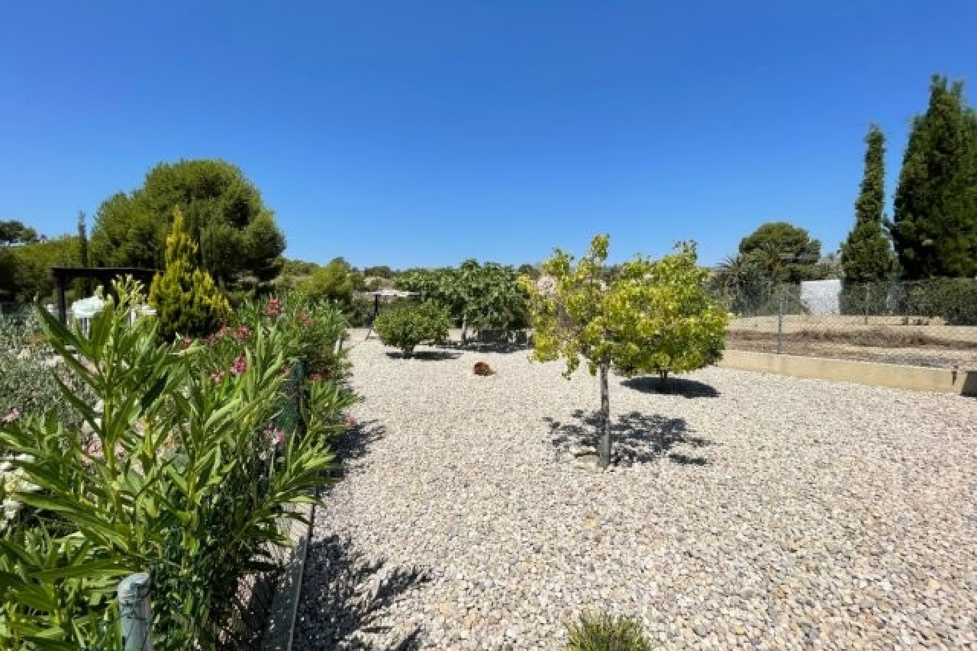 Revente - Villa -
Abanilla