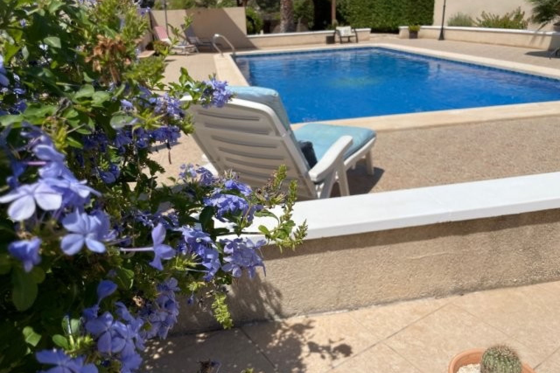 Revente - Villa -
Abanilla