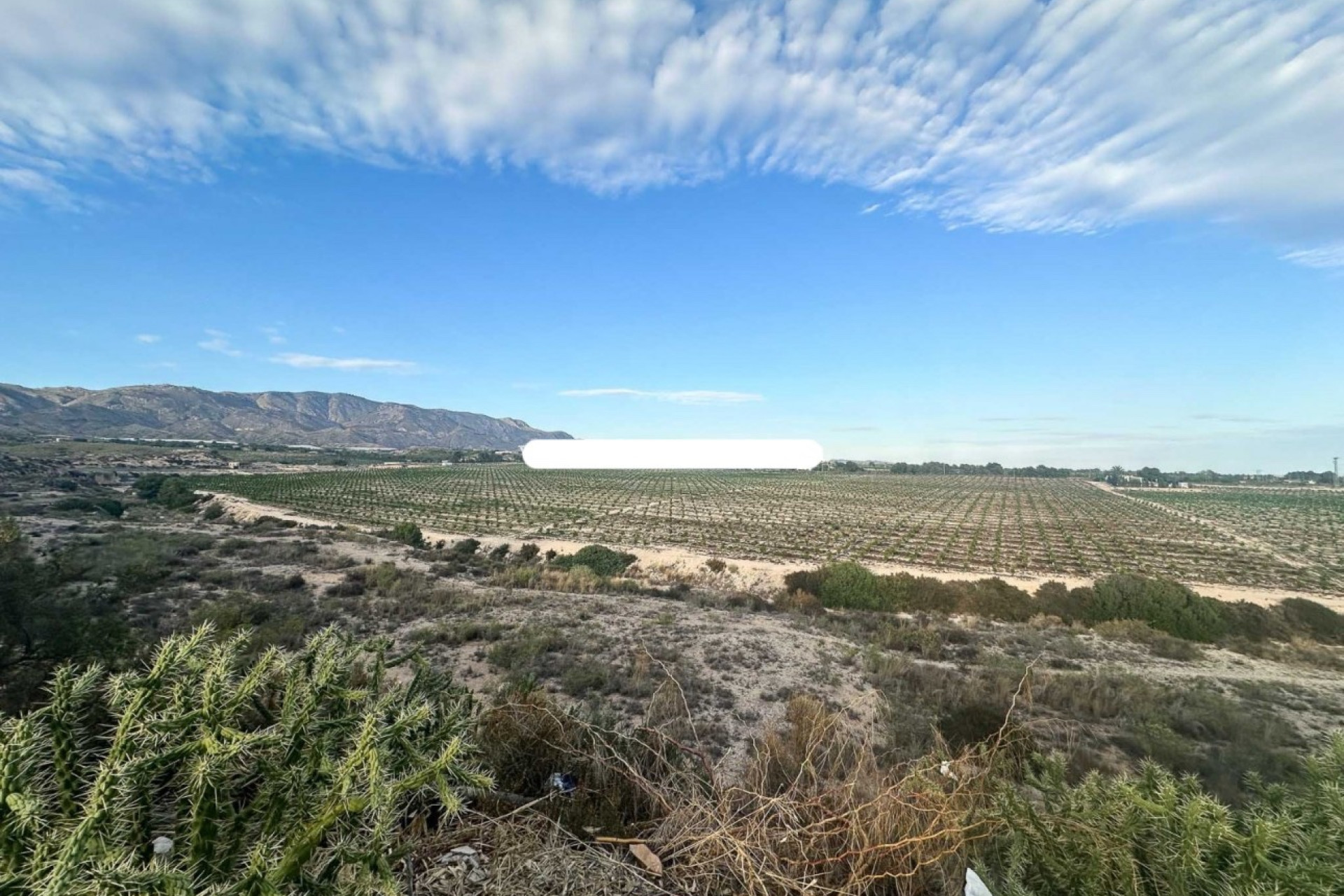 Revente - Villa -
Albatera - ALBATERA