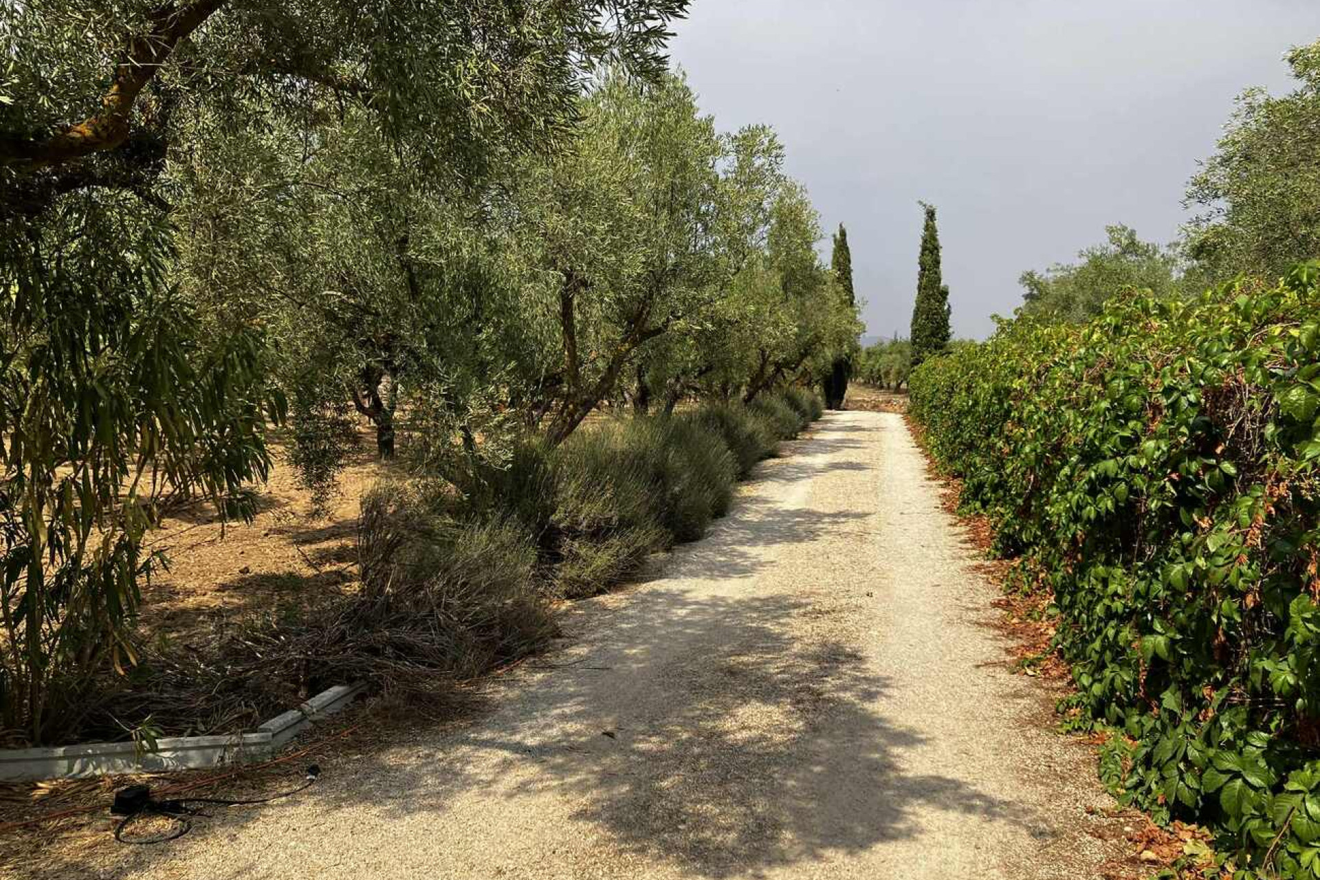 Revente - Villa -
Biar - Costa Blanca