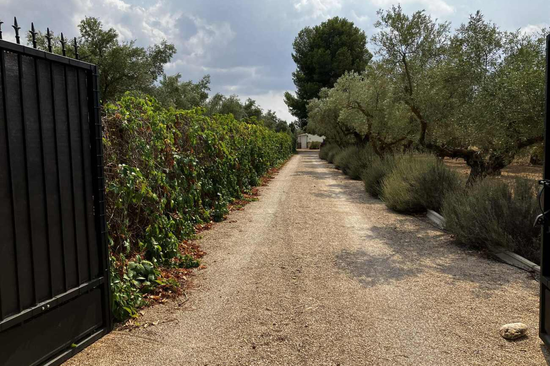 Revente - Villa -
Biar - Costa Blanca