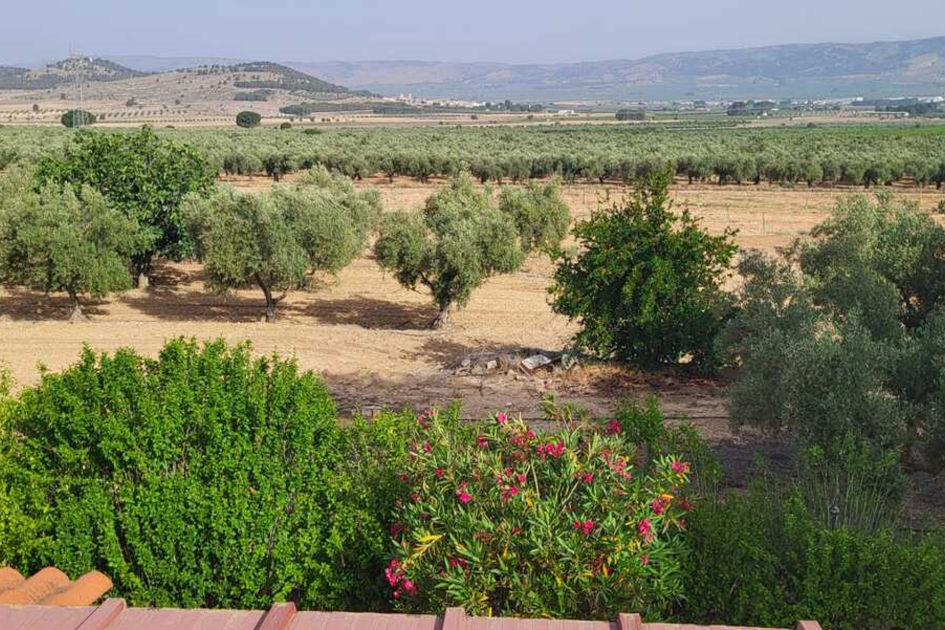 Revente - Villa -
Biar - Costa Blanca
