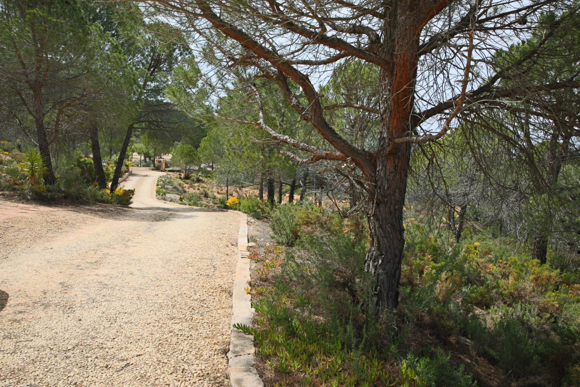 Revente - Villa -
Biar