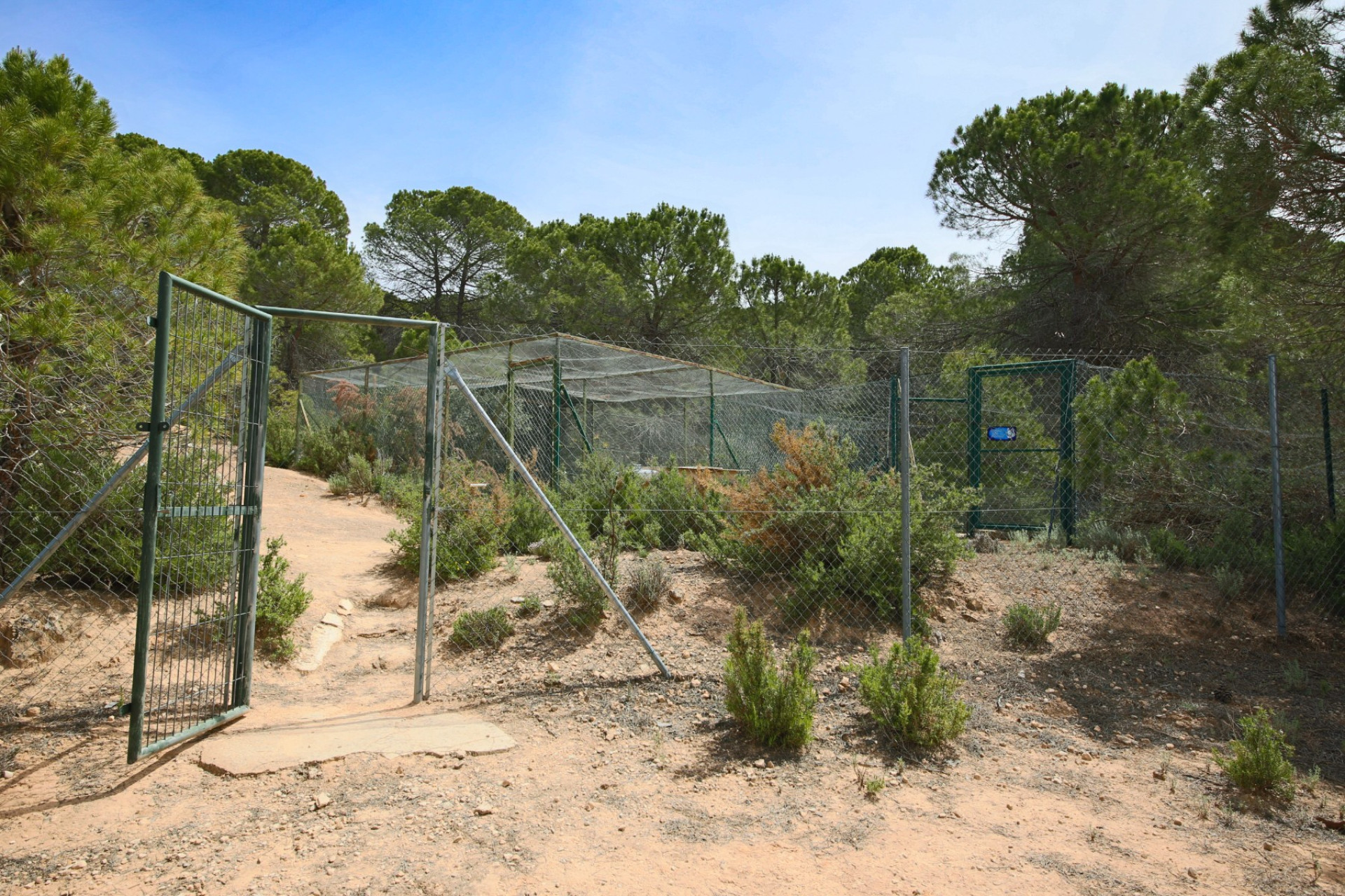 Revente - Villa -
Biar