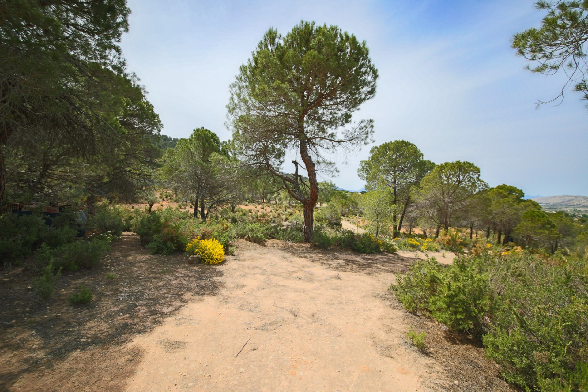 Revente - Villa -
Biar