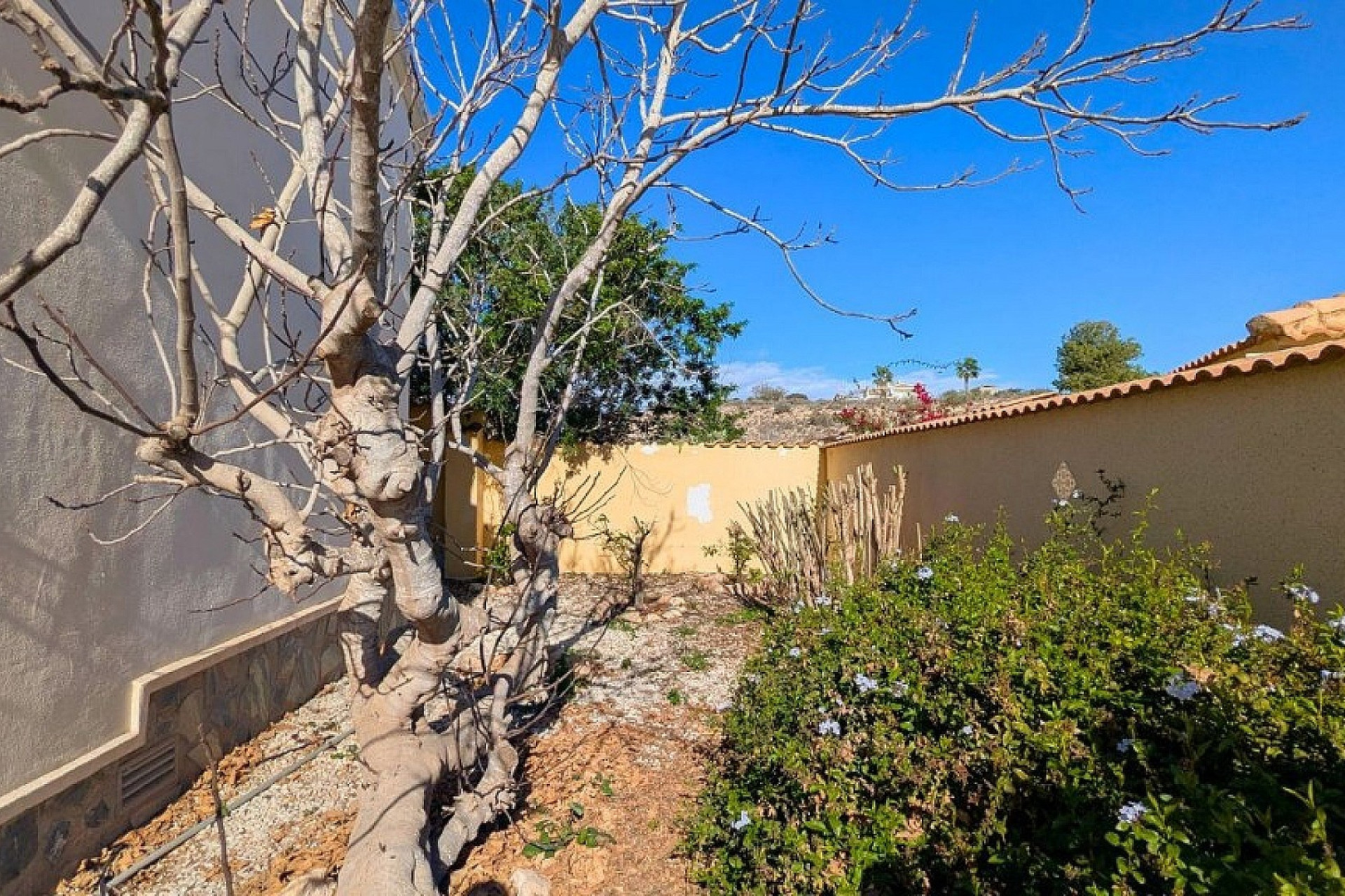 Revente - Villa -
Ciudad Quesada - Cuidad Quesada