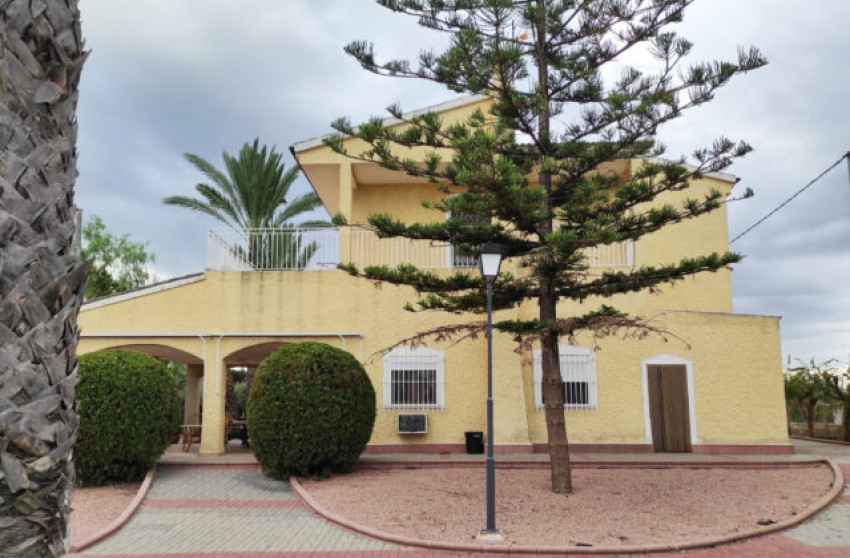 Revente - Villa -
Crevillente