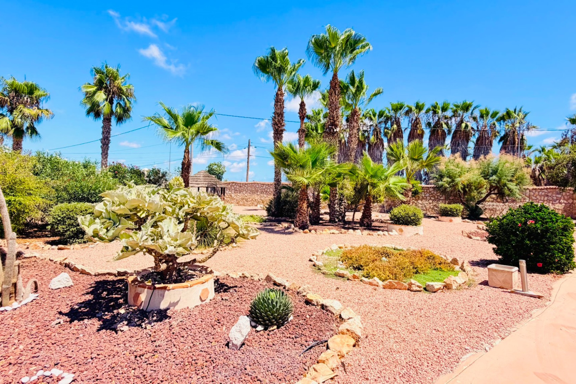 Revente - Villa -
Daya Vieja