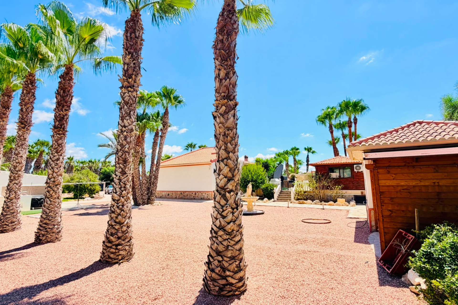 Revente - Villa -
Daya Vieja