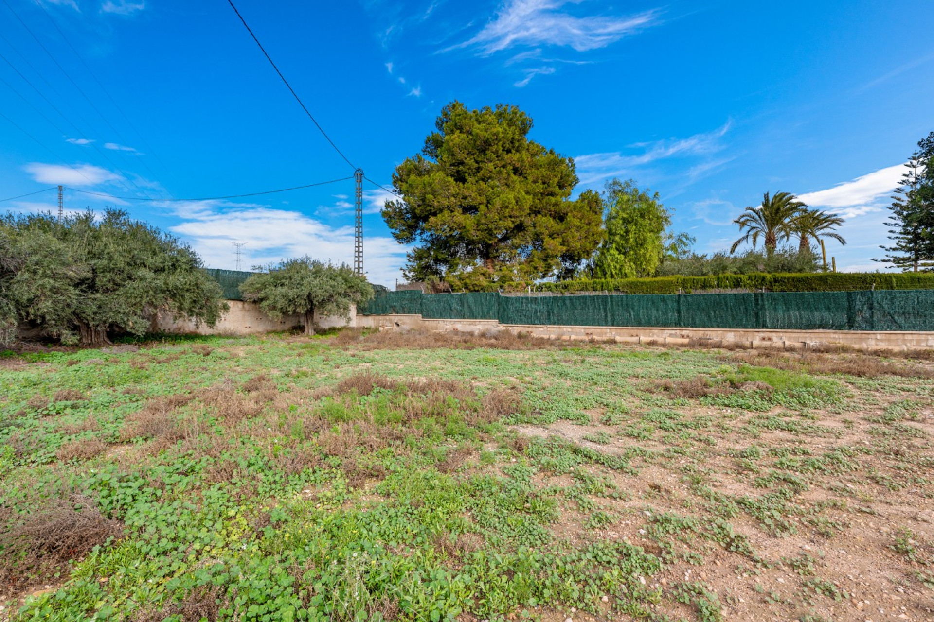 Revente - Villa -
Elche