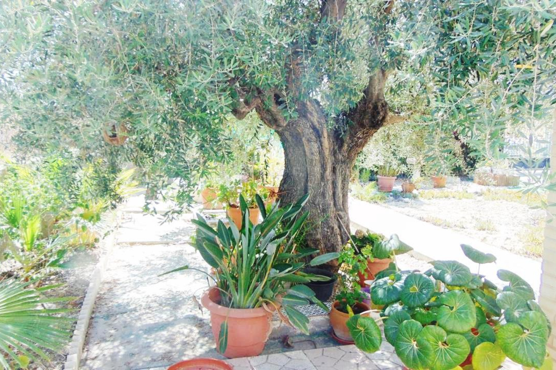 Revente - Villa -
Fortuna - FORTUNA