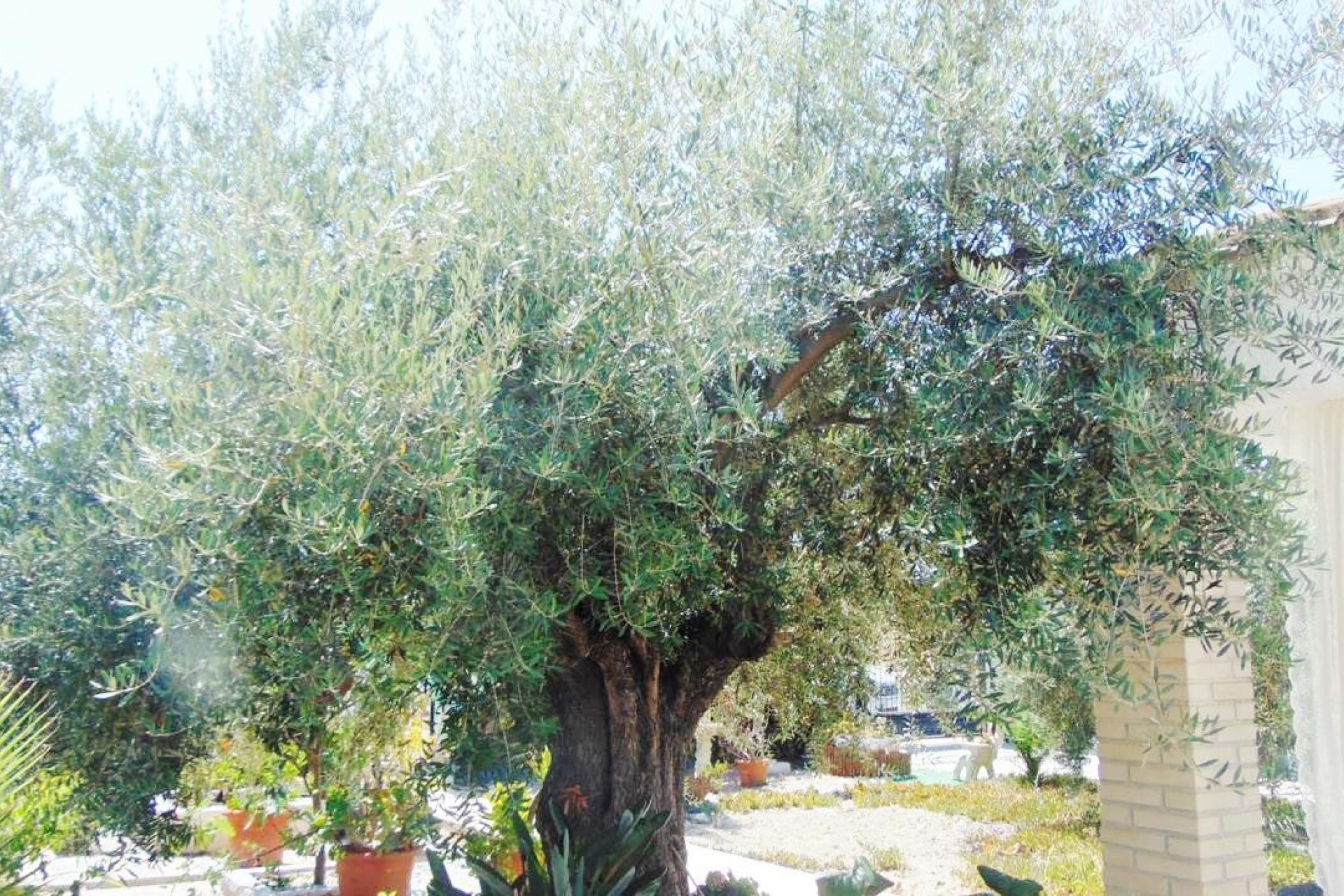 Revente - Villa -
Fortuna - FORTUNA