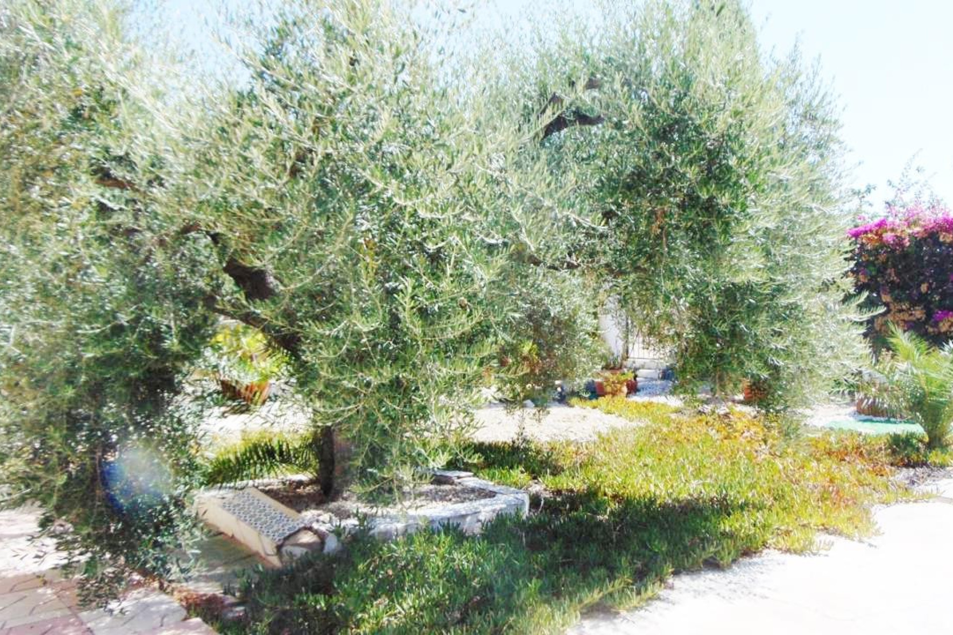 Revente - Villa -
Fortuna - FORTUNA