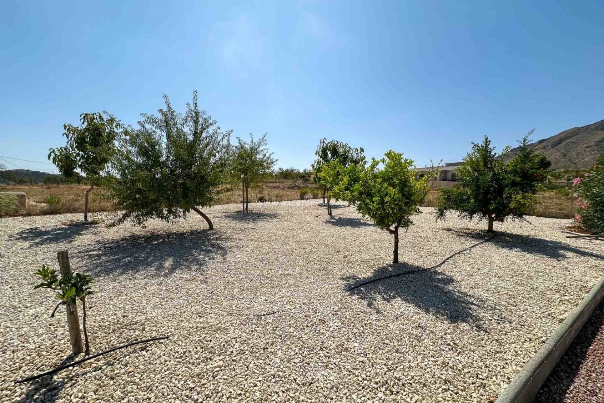 Revente - Villa -
Hondón de las Nieves - HONDON DE LAS NIEVES