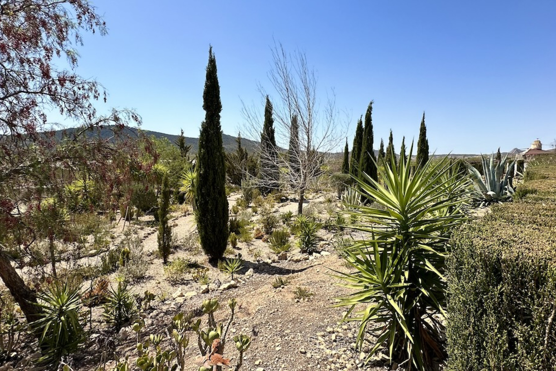 Revente - Villa -
Hondón de las Nieves - HONDON DE LAS NIEVES