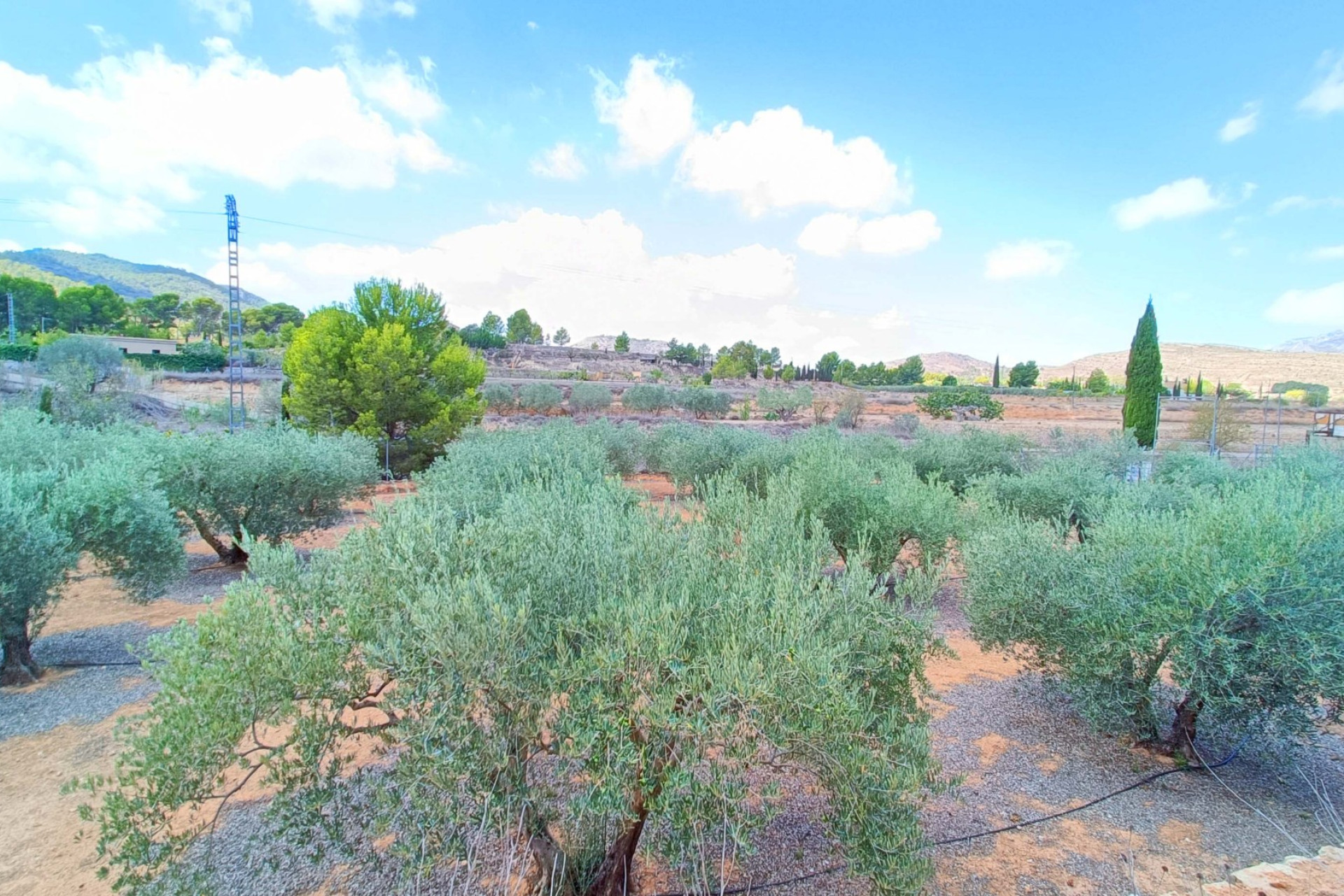 Revente - Villa -
Hondón de las Nieves