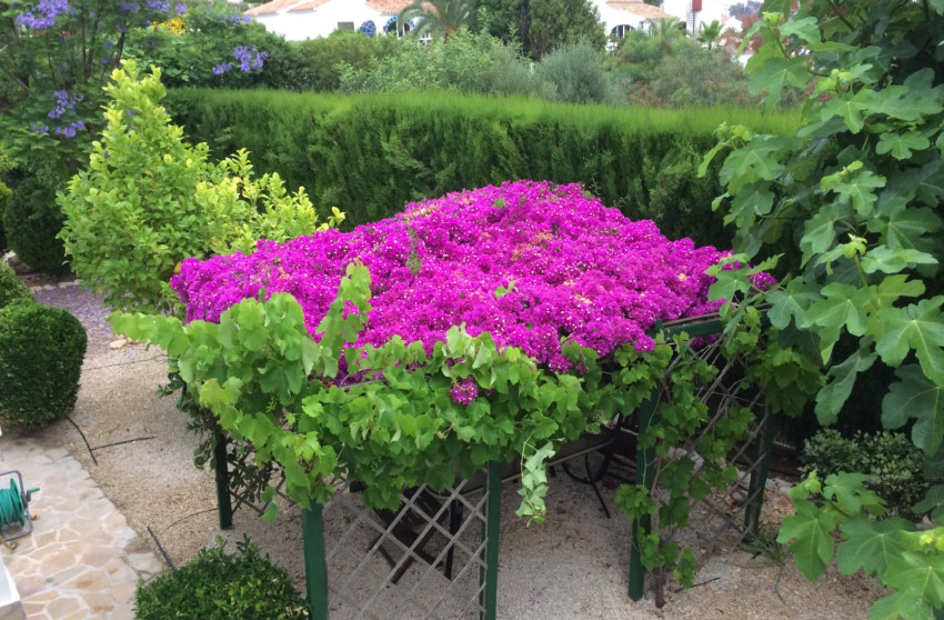 Revente - Villa -
Jávea - Cansalades