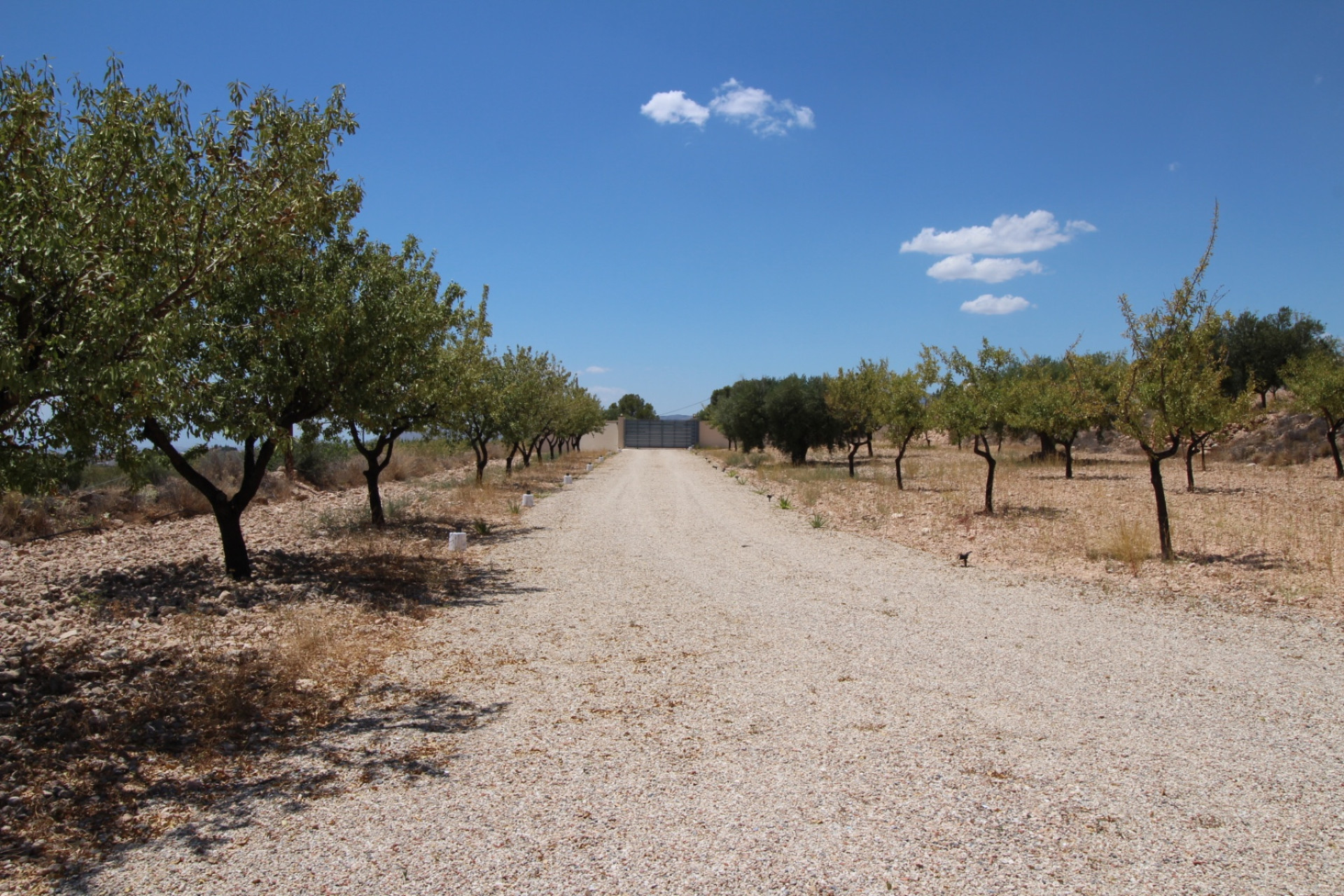 Revente - Villa -
Macisvenda - MACISVENDA