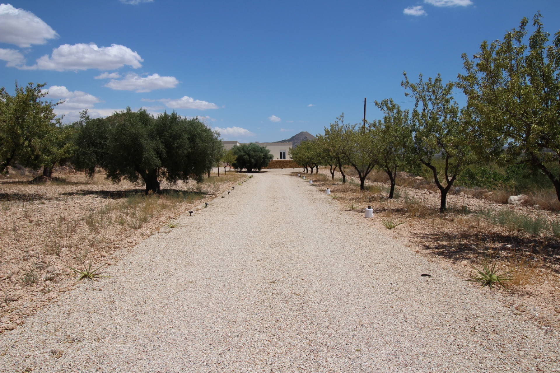 Revente - Villa -
Macisvenda - MACISVENDA