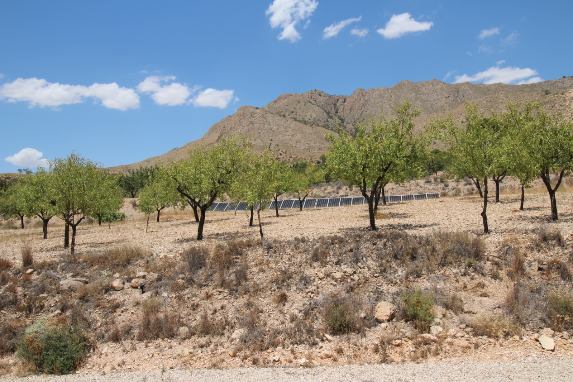 Revente - Villa -
Macisvenda - MACISVENDA