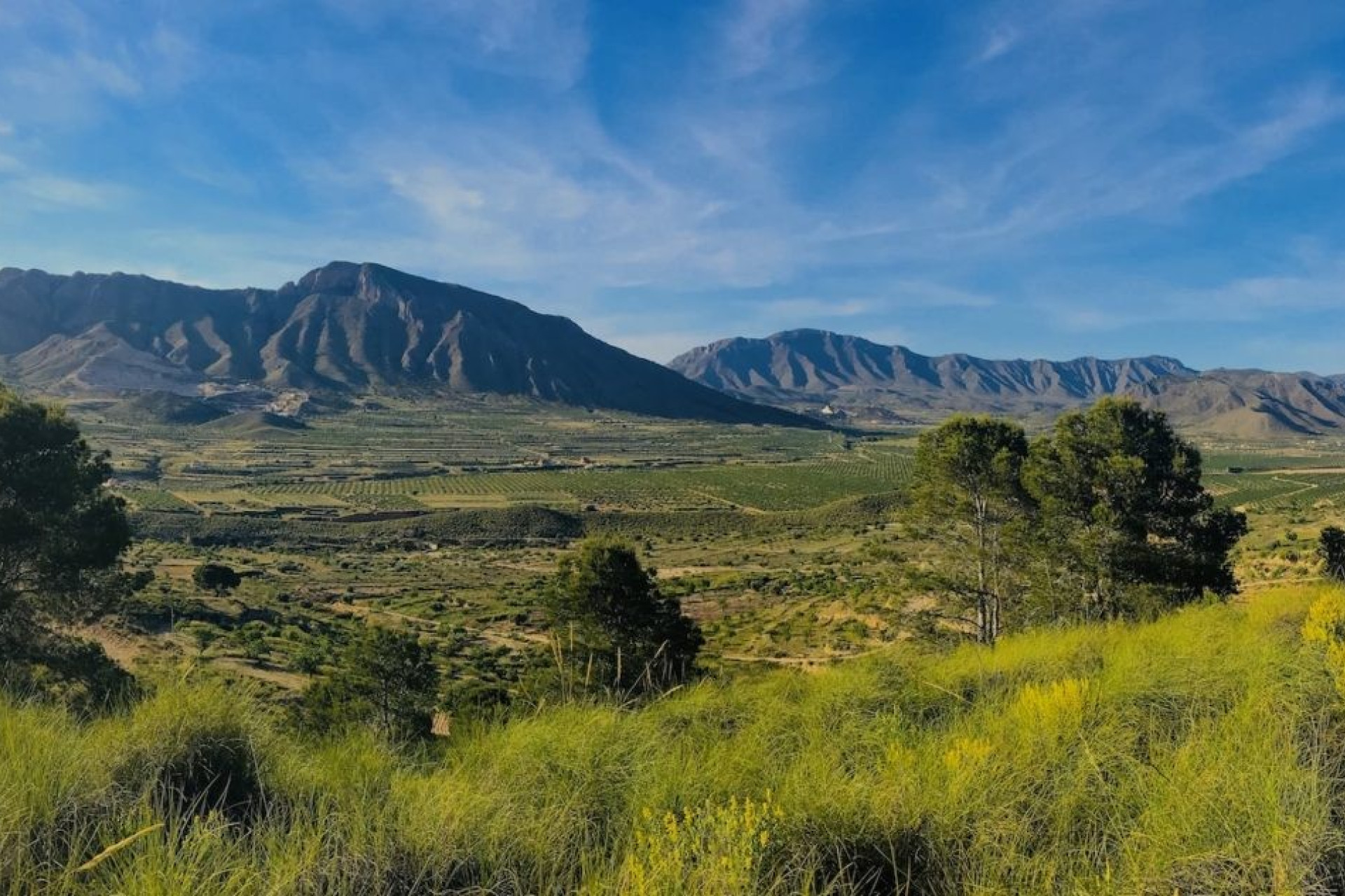 Revente - Villa -
Macisvenda - MACISVENDA