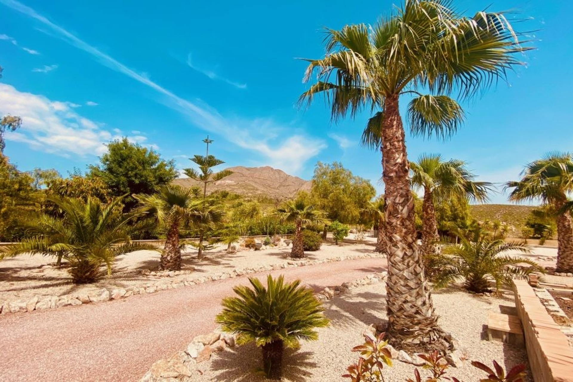 Revente - Villa -
Macisvenda - MACISVENDA
