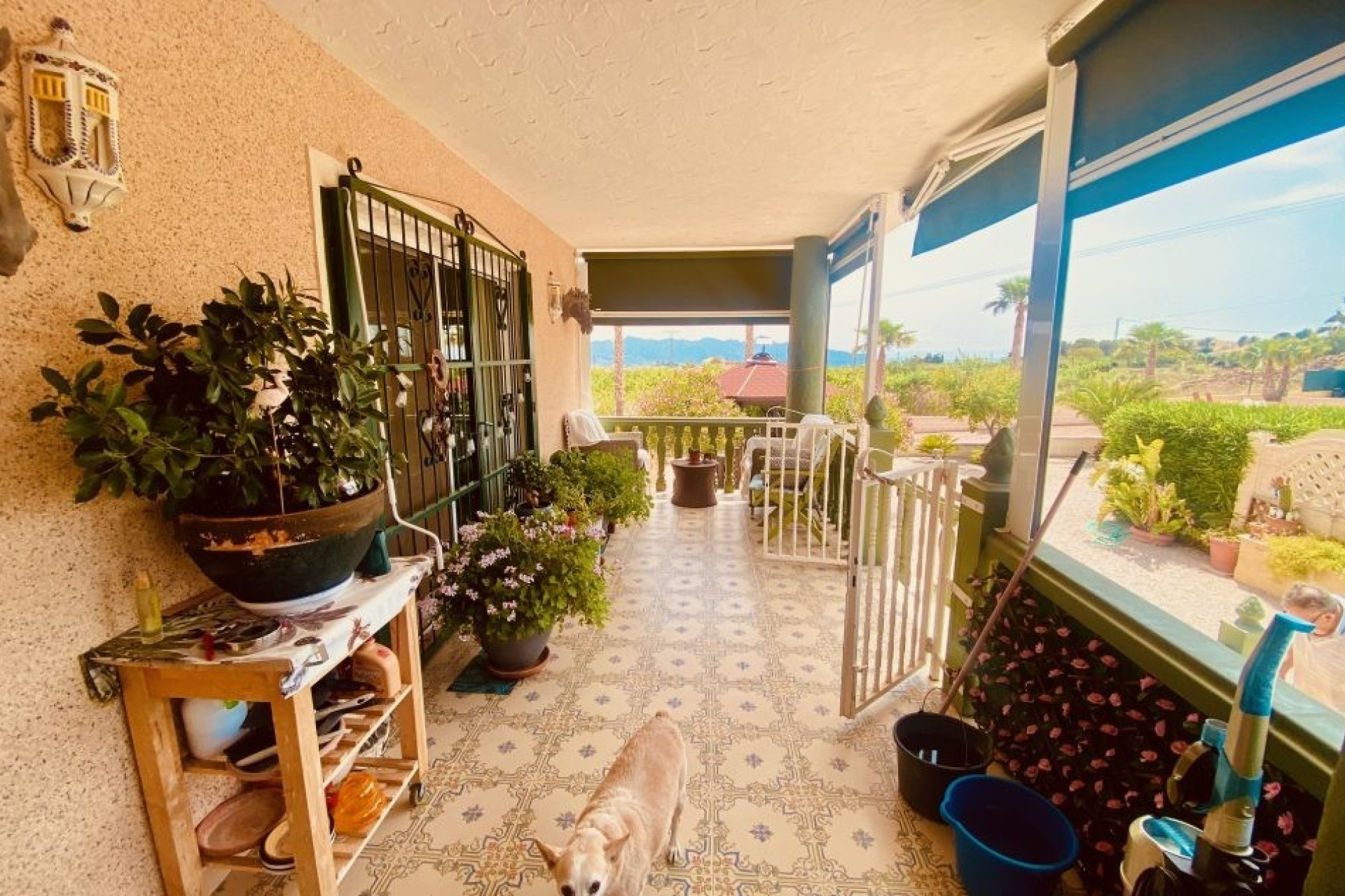 Revente - Villa -
Macisvenda - MACISVENDA