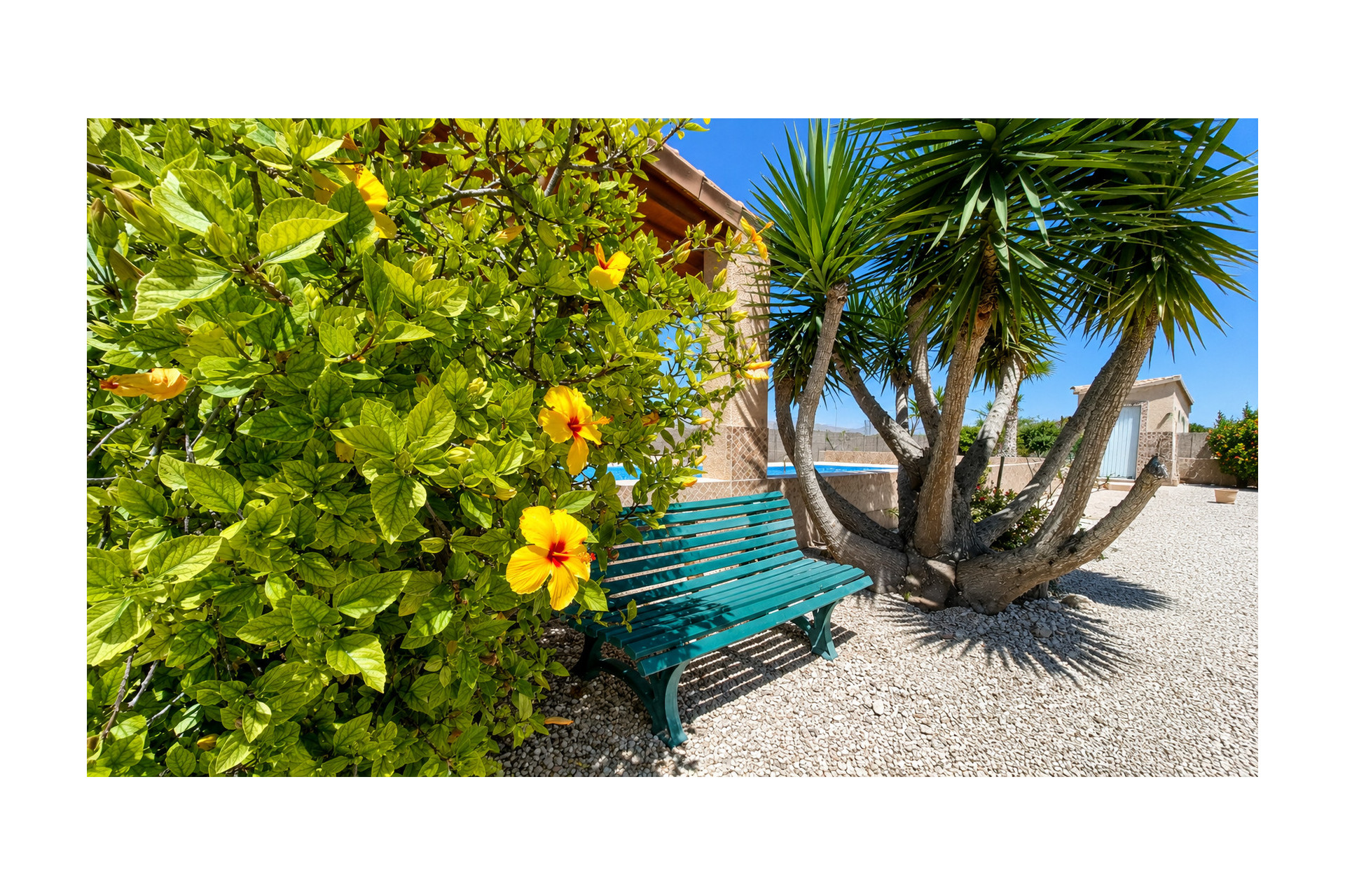 Revente - Villa -
Macisvenda