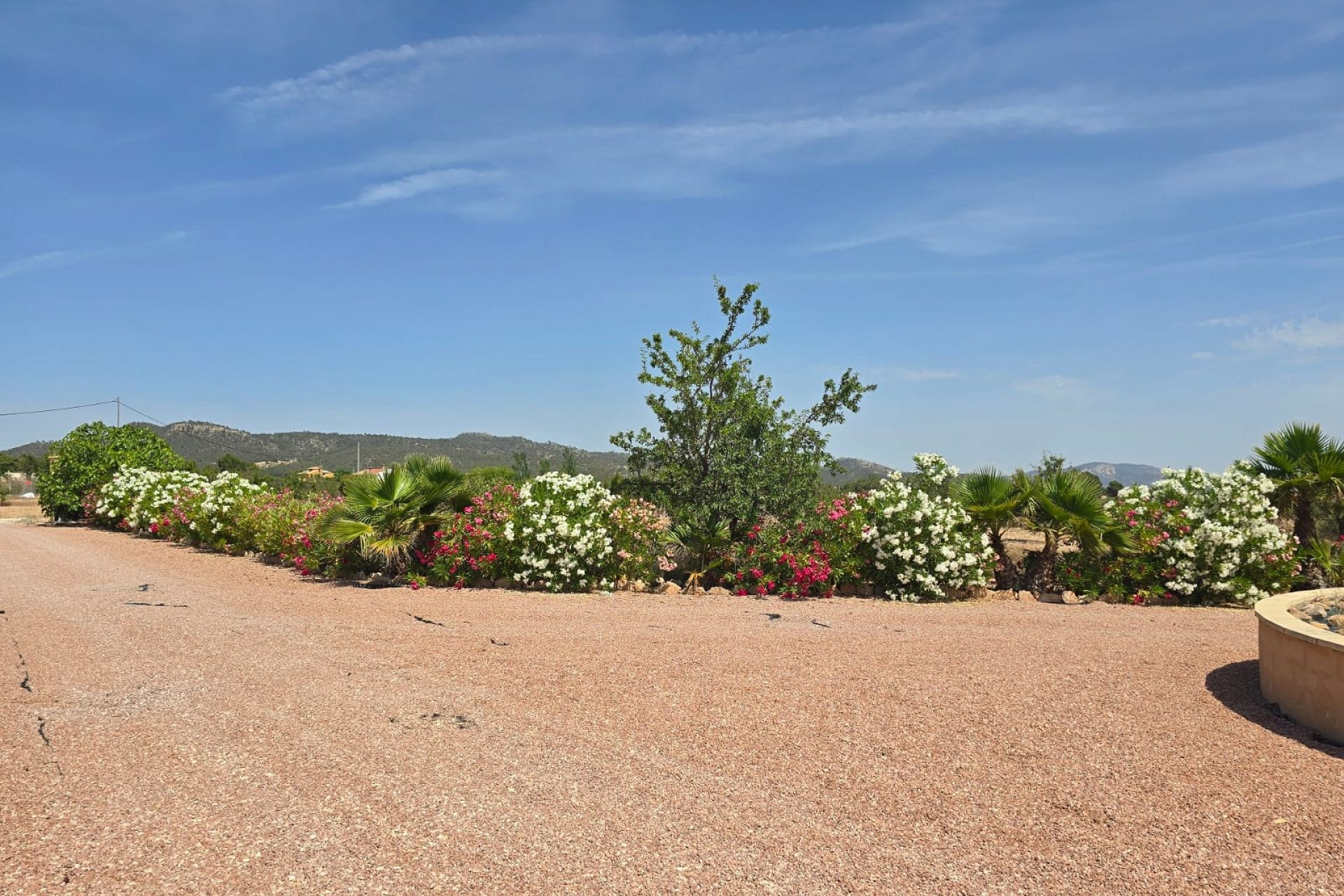 Revente - Villa -
Mon&oacute;var - Monovar
