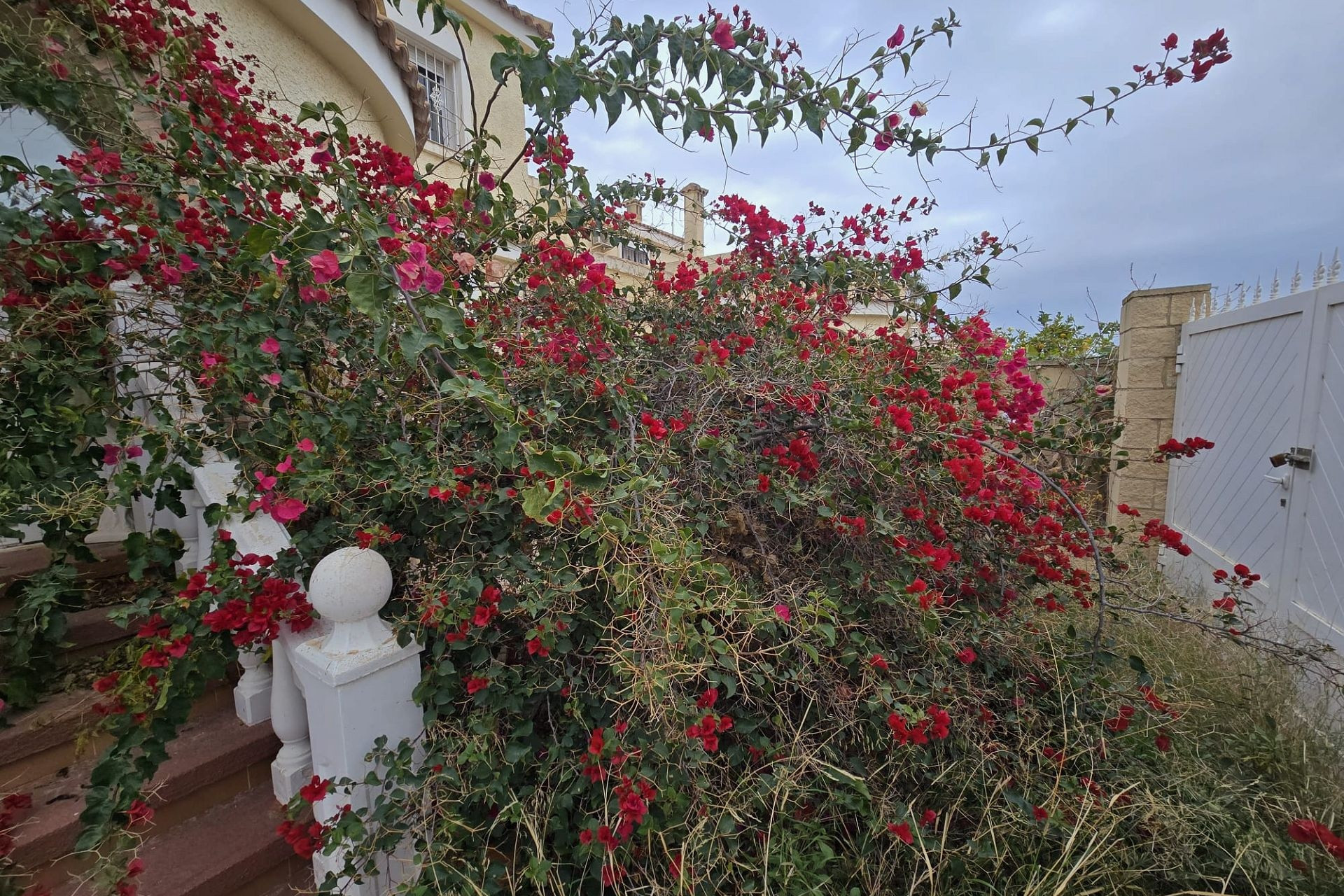 Revente - Villa -
Monforte del Cid