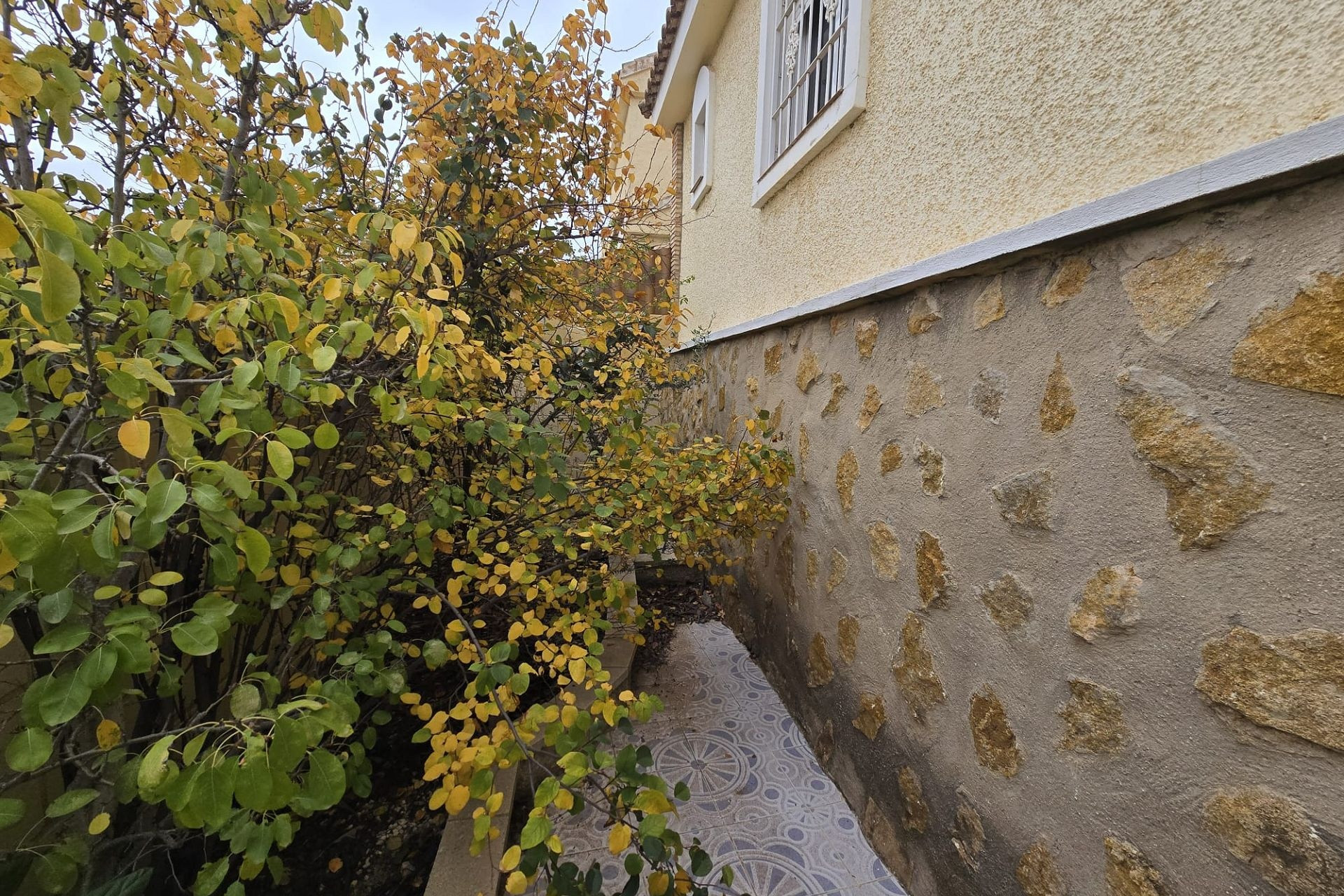 Revente - Villa -
Monforte del Cid