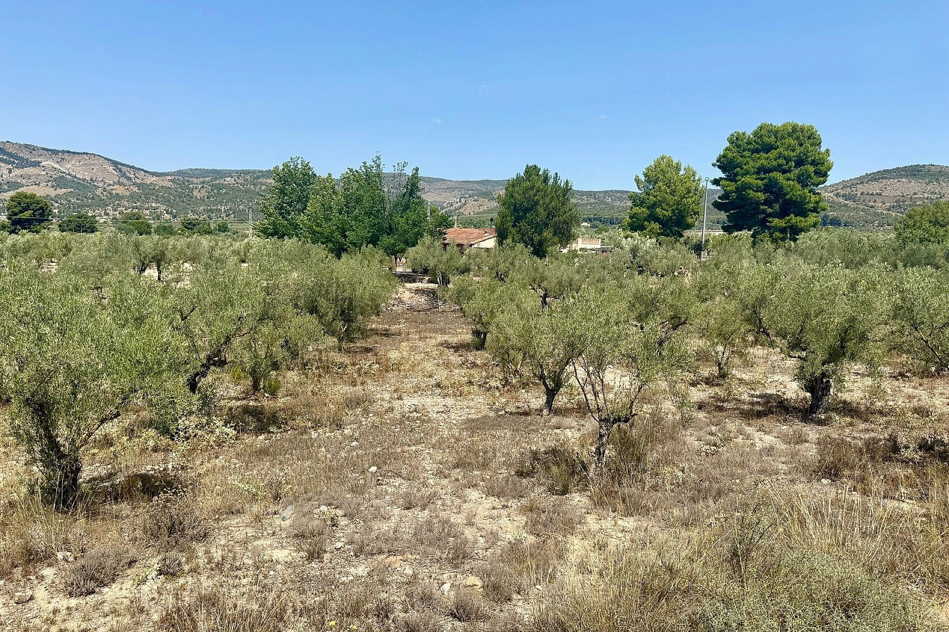 Revente - Villa -
Onil