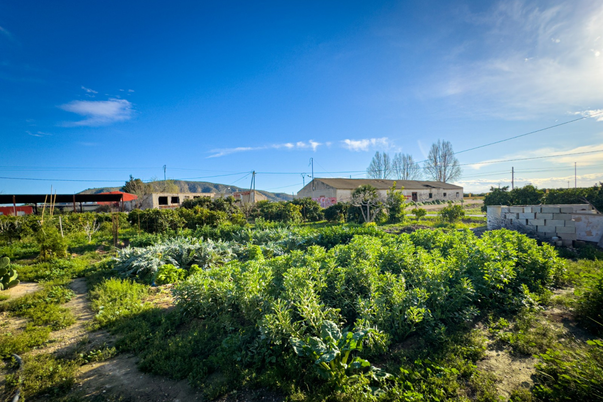 Revente - Villa -
Orihuela