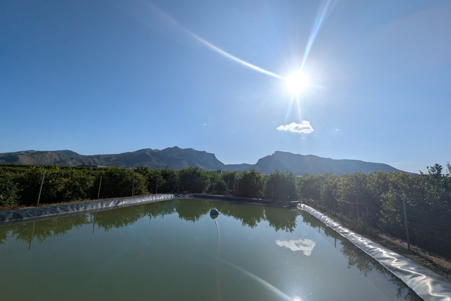 Revente - Villa -
Orihuela