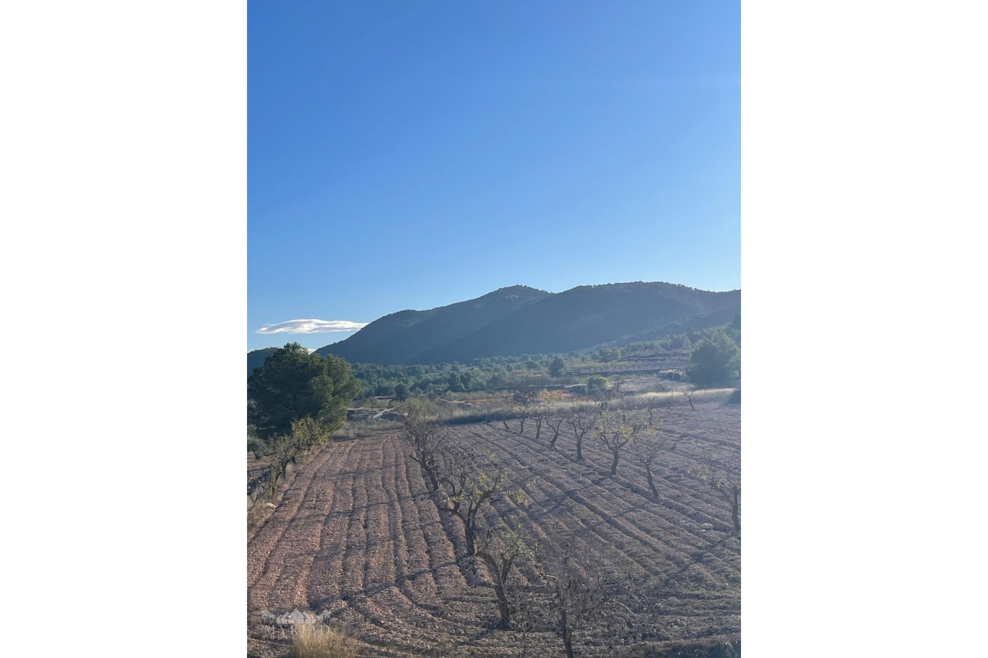 Revente - Villa -
Pinoso - Pinoso Alicante