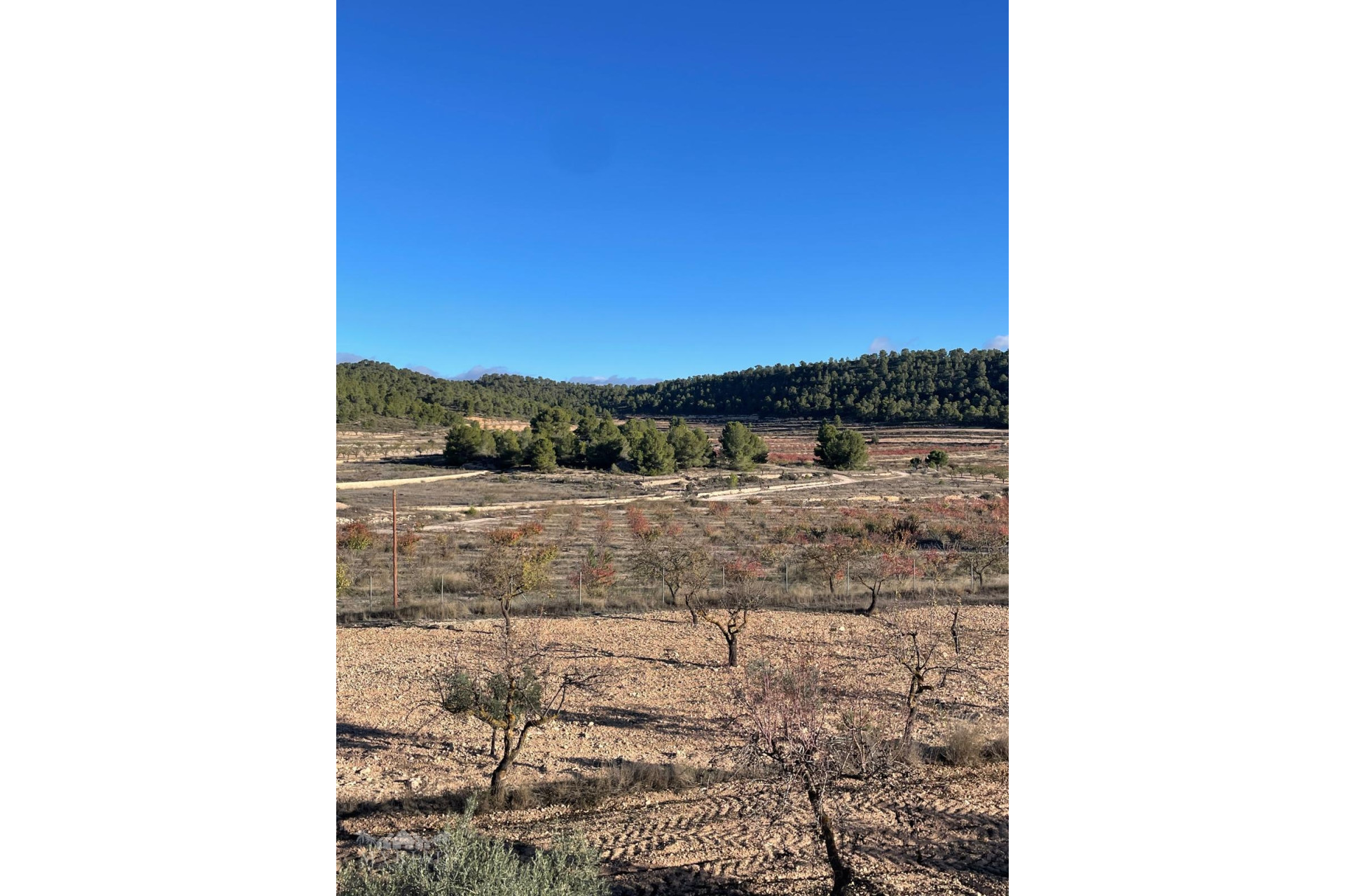 Revente - Villa -
Pinoso - Pinoso Alicante