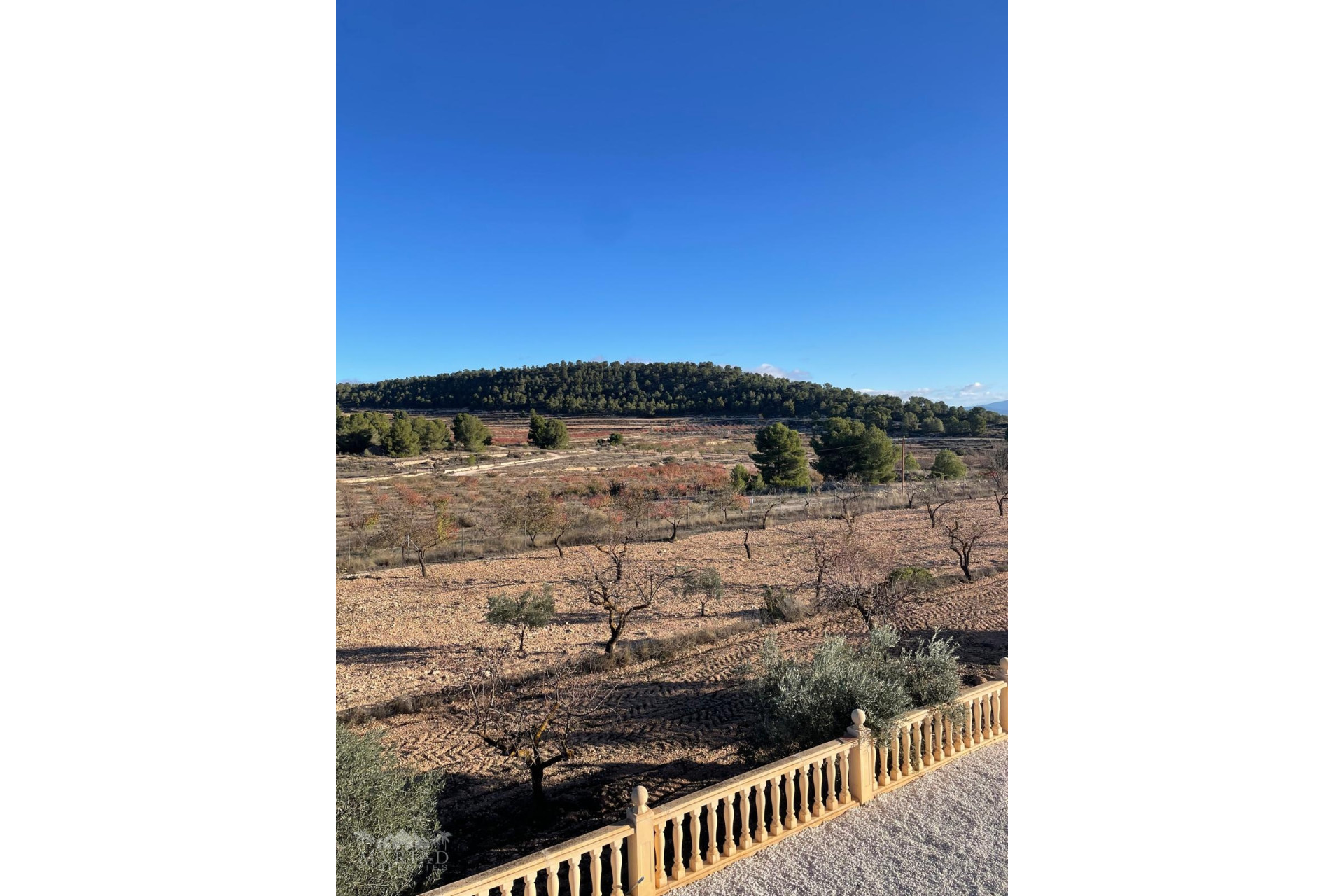 Revente - Villa -
Pinoso - Pinoso Alicante