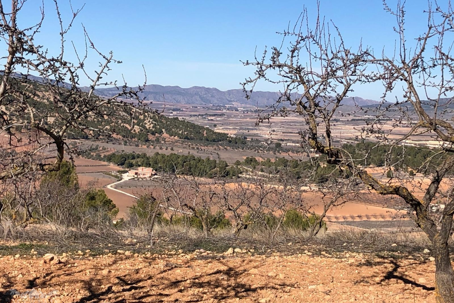 Revente - Villa -
Pinoso - Pinoso Alicante