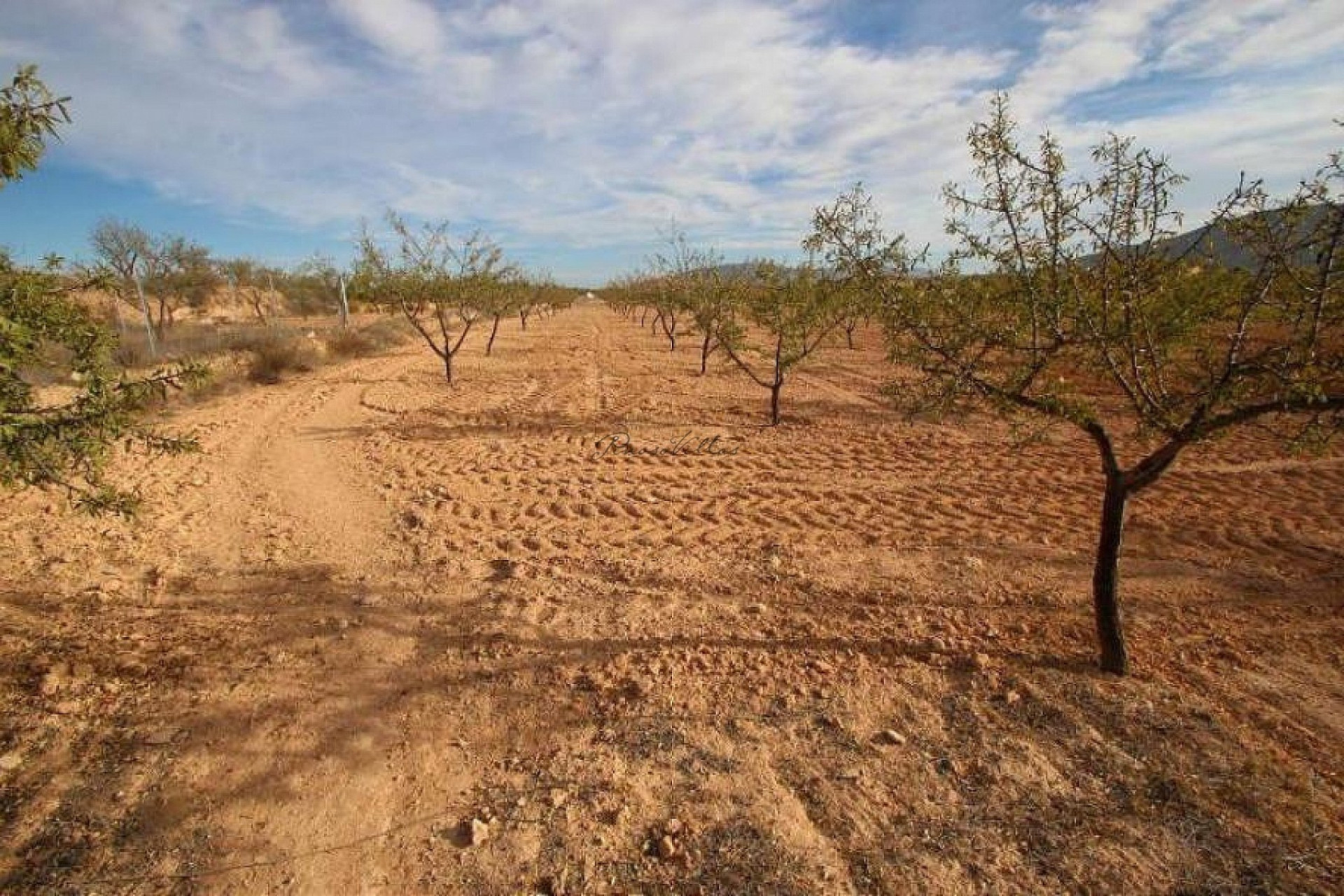 Revente - Villa -
Pinoso - PINOSO