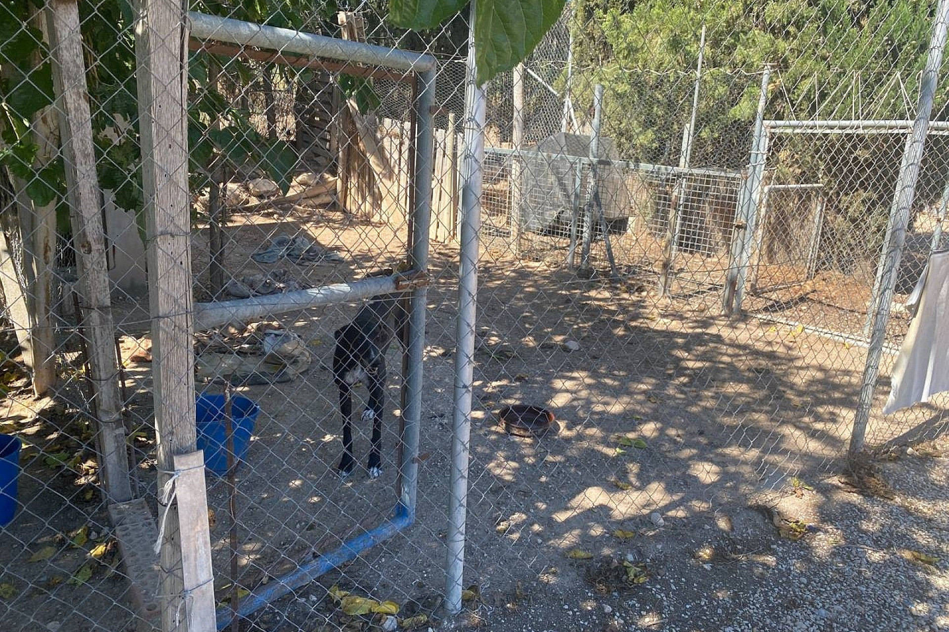 Revente - Villa -
Salinas