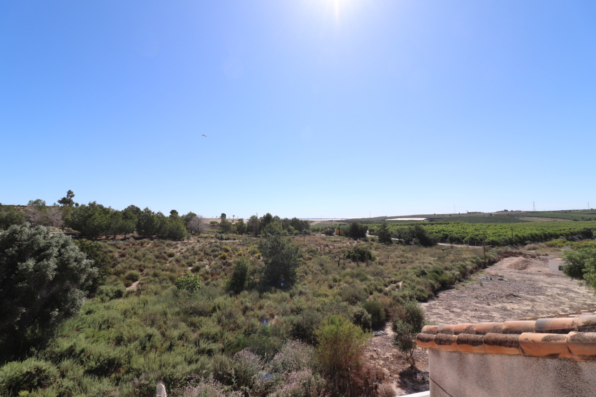 Revente - Villa -
San Miguel de Salinas - Lake View Mansions