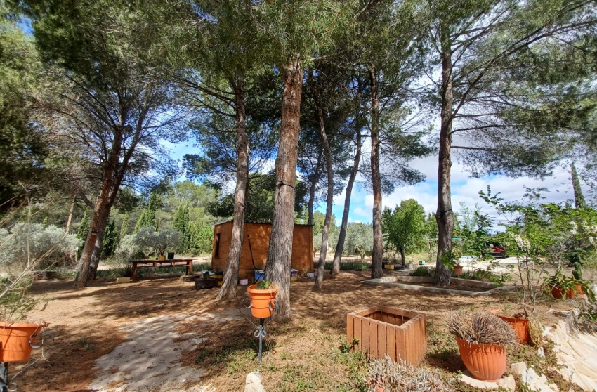 Revente - Villa -
Sax